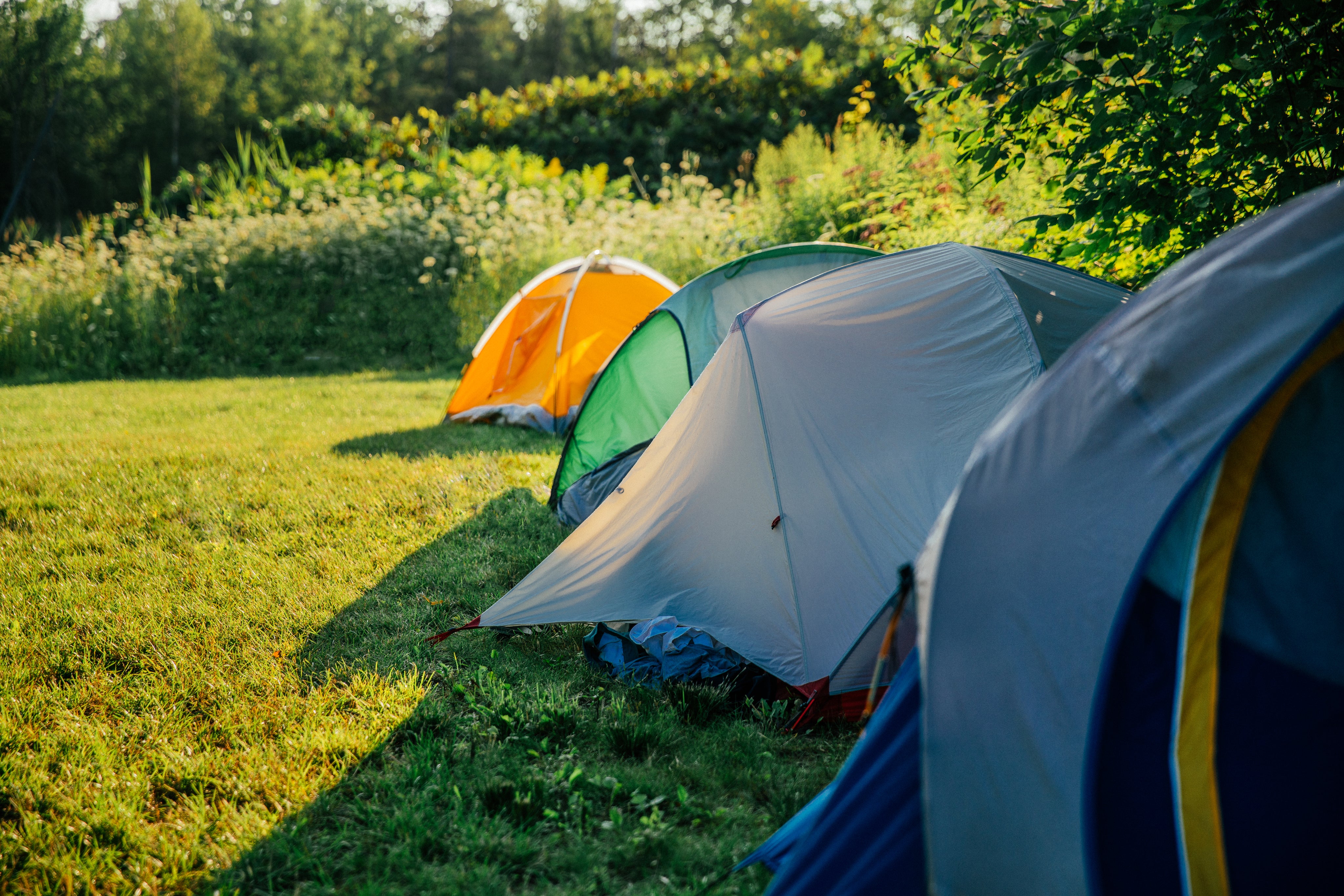 Spare Tent Poles